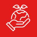 Window Tint Removal Services 3 drtintca aboutus