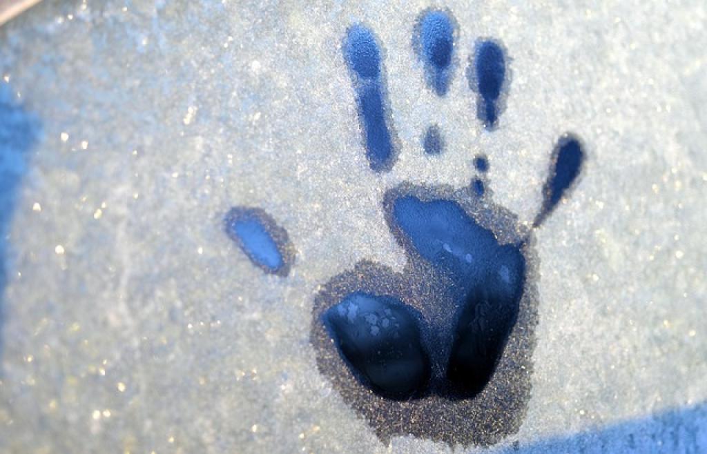 Frosted Window Film in San Jose